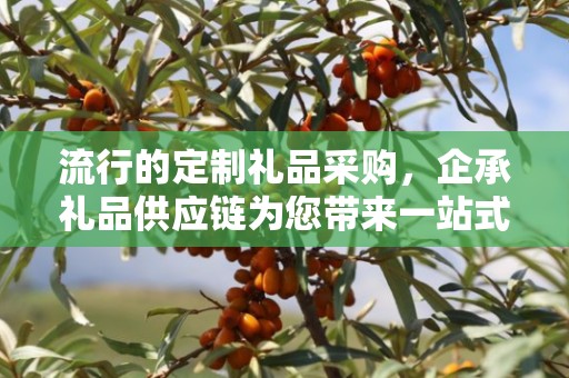流行的定制礼品采购，企承礼品供应链为您带来一站式解决方案
