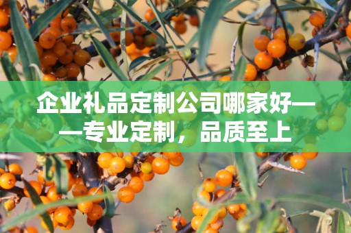企业礼品定制公司哪家好——专业定制，品质至上