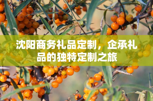 沈阳商务礼品定制，企承礼品的独特定制之旅