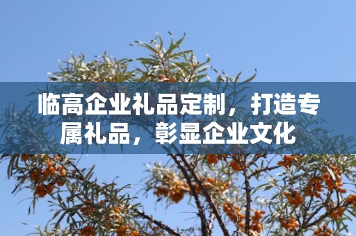 临高企业礼品定制，打造专属礼品，彰显企业文化
