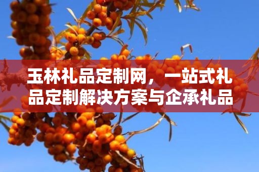 玉林礼品定制网，一站式礼品定制解决方案与企承礼品供应链的完美结合