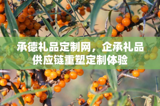 承德礼品定制网，企承礼品供应链重塑定制体验